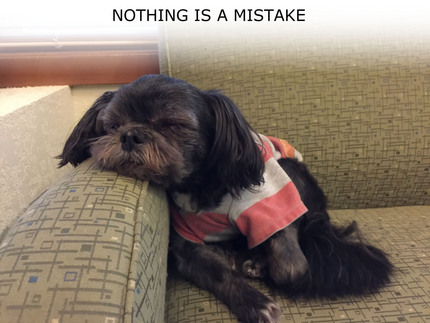 NOTHING IS A MISTAKE!