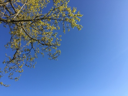 Not a single cloud in the sky.