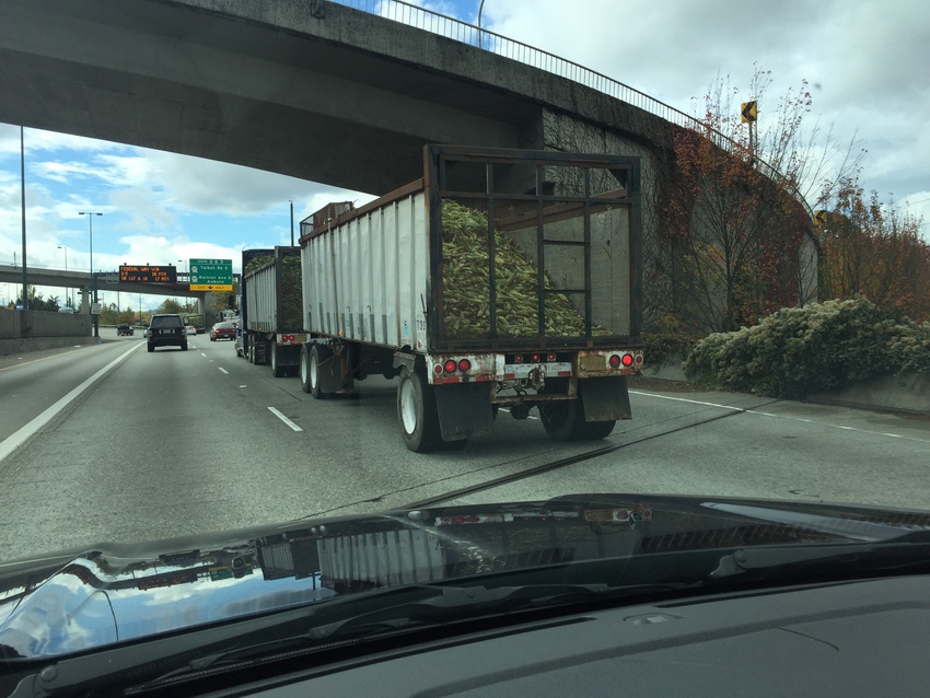What's in This Truck?