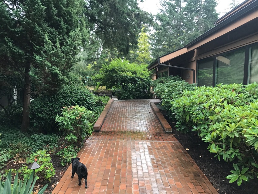 Rain is Back in Seattle
