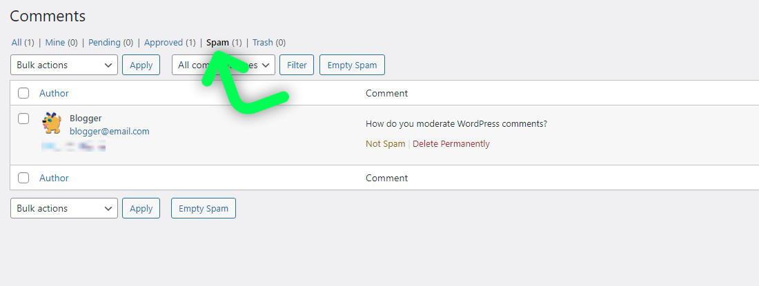 Manage spam comments in WordPress
