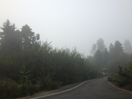 霧の中で散歩