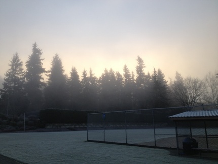 朝日が霧（霜）を通り抜けてさそ...