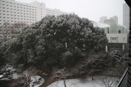 雪の東京からおはようございます