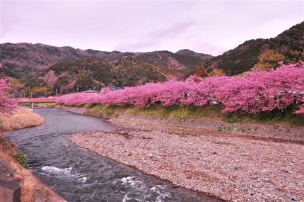 2012年3月10日の河津町