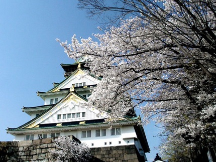 桜と新年度