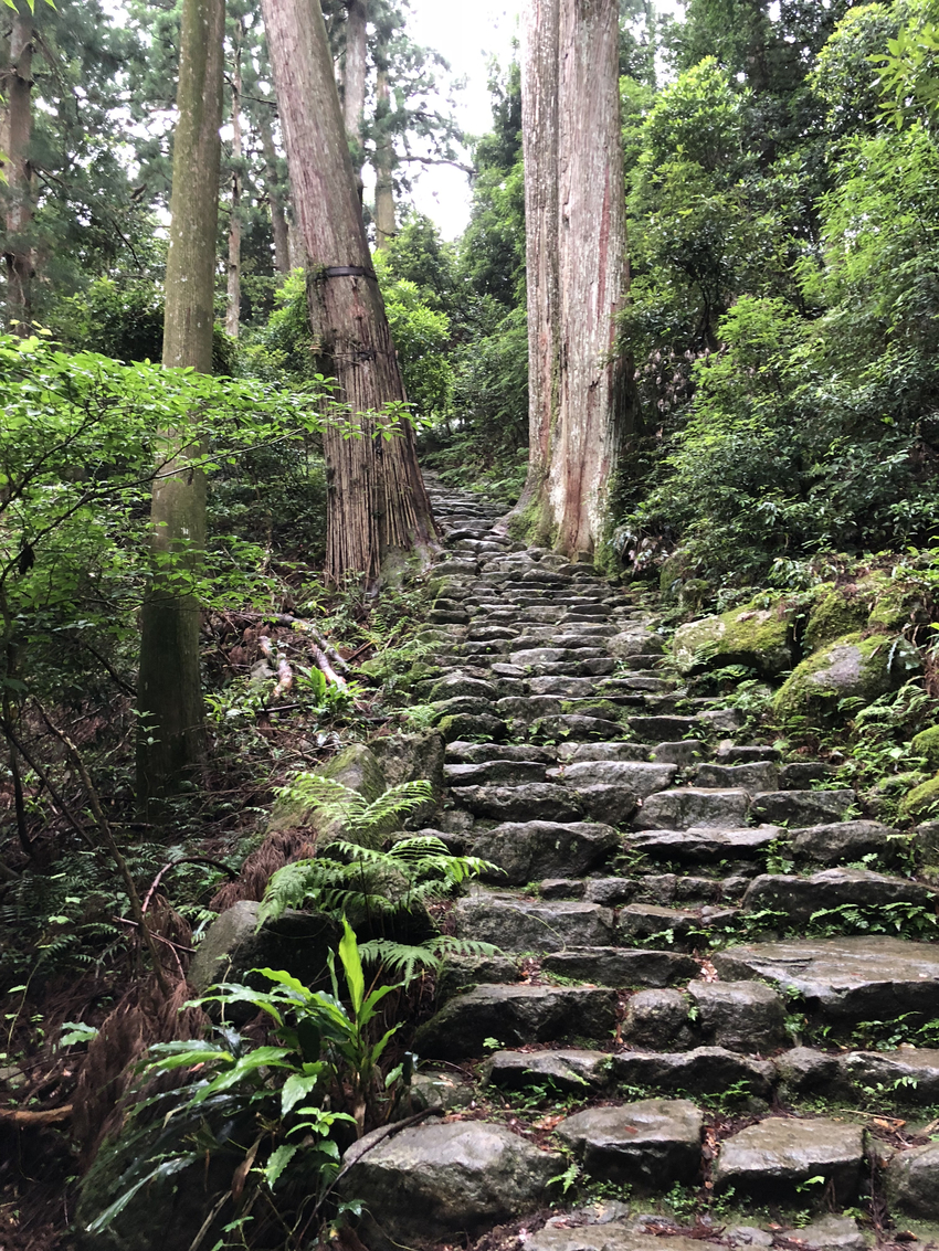 今晩も寝不足でー