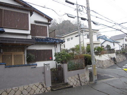 雪が降りだしました