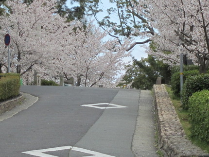 神戸須磨浦公園