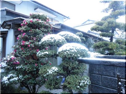 大雪注意報がでています