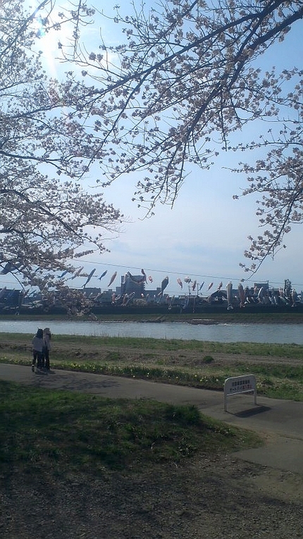 展勝地・北上川側を望む