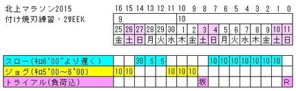 北上マラソン2015 付け焼刃...