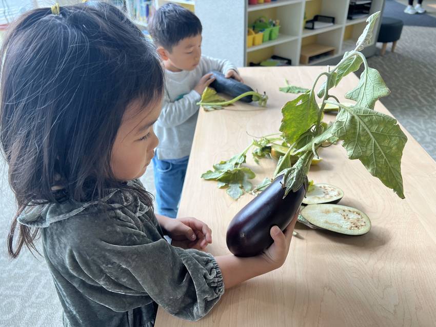 10月5日