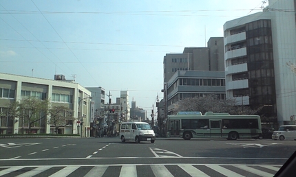 街中でも、桜