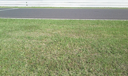 コースサイドに、一輪の花。...