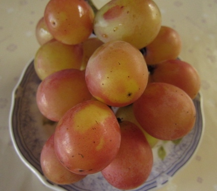【食】葡萄の秋～安芸クイーン