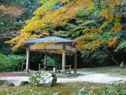 【旅】紅葉の岩国・紅葉谷