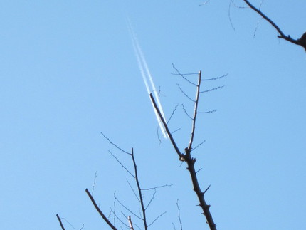 見上げた空には、飛行機雲