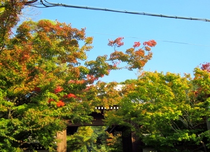 【旅】紅葉はじまりの京の旅～永...