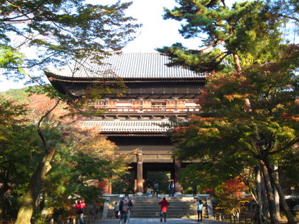 【旅】紅葉はじまりの京の旅～南...