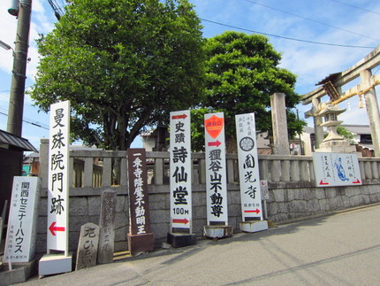 【旅】初夏の京都～皐月咲く詩仙...