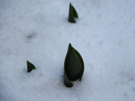 【宙】残雪の朝