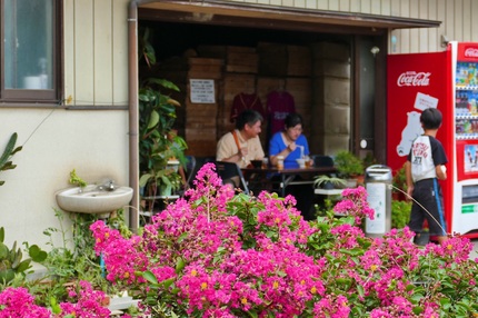 サルスベリ咲く真夏の谷川製麺所
