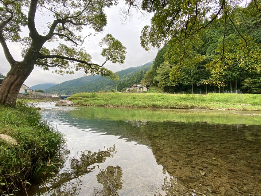 先日の大雨で鮎が流されちゃった...