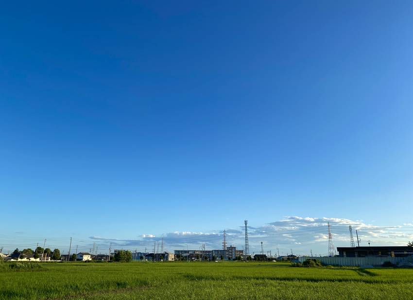 稲の深ーーーーいミドリと 青空...