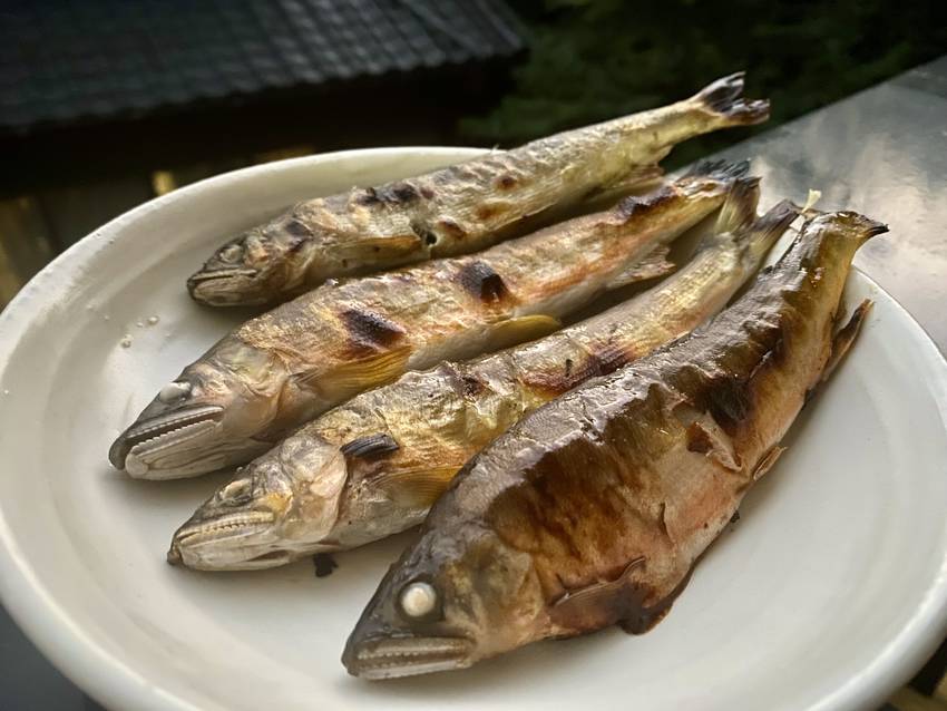 家庭の魚焼きコンロでも 結構上...