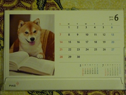 犬のカレンダー
