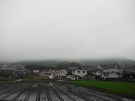 久しぶりの大雨