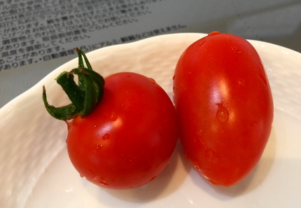 畑で採れたトマトです。（●＾o...