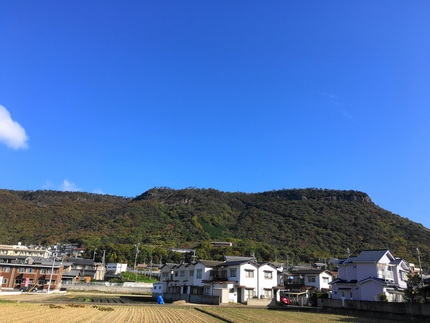 久しぶりの晴れ ｡.:♪＊:･...