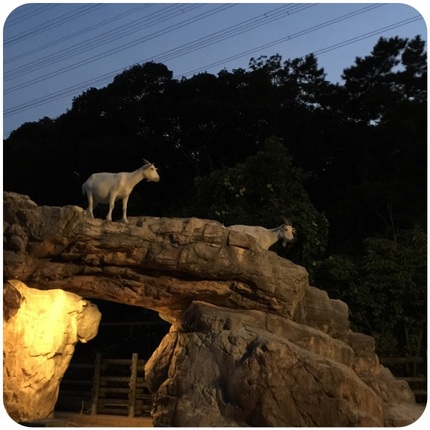 夜の動物園