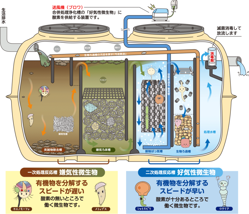 田舎は「下水道」が完備していな...