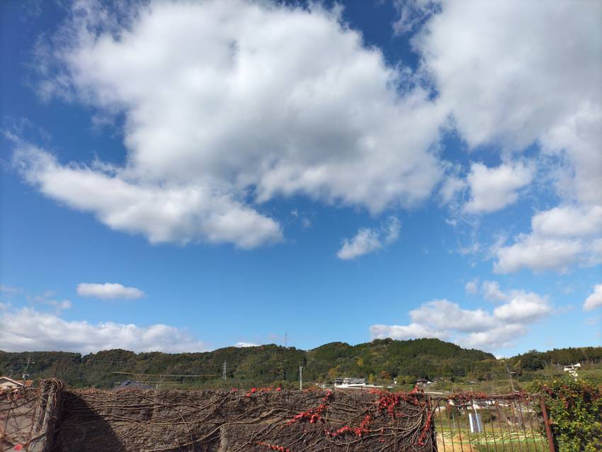 今日、窓の外に広がる11月の澄...