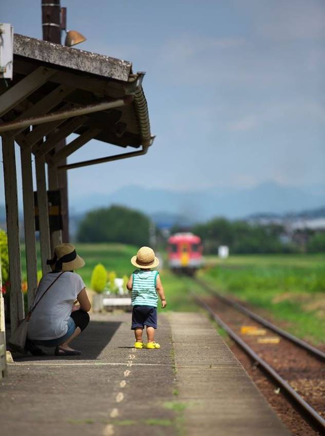 一両編成の電車も、夏を運んでく...