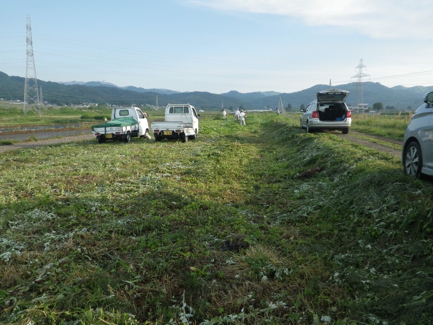 370ｍに草刈りは２日かかりま...