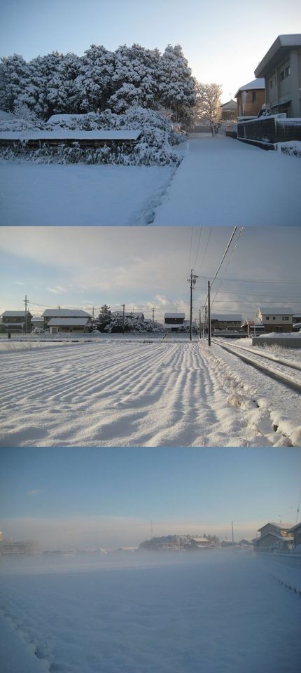 大雪の風景