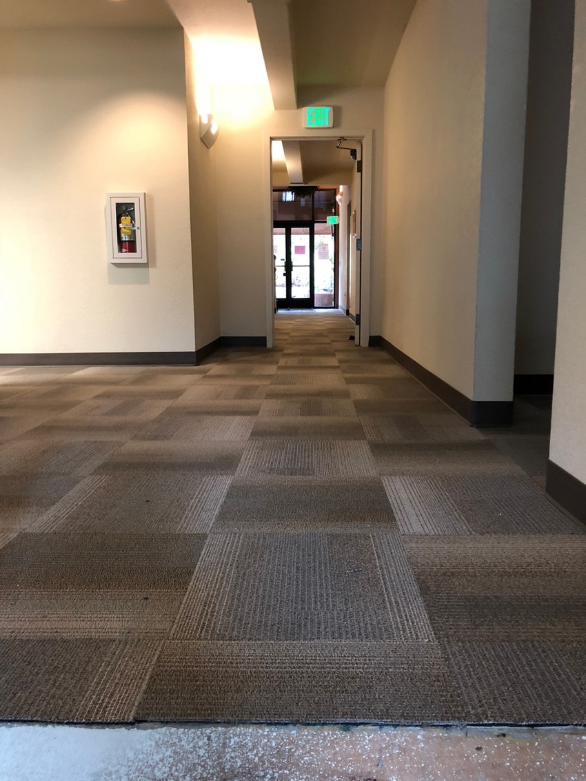 Tiled Carpet