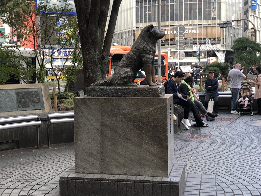 Statue of HACHIKO