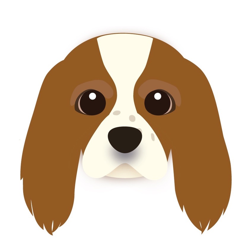 Animated Portrait of Your Pet