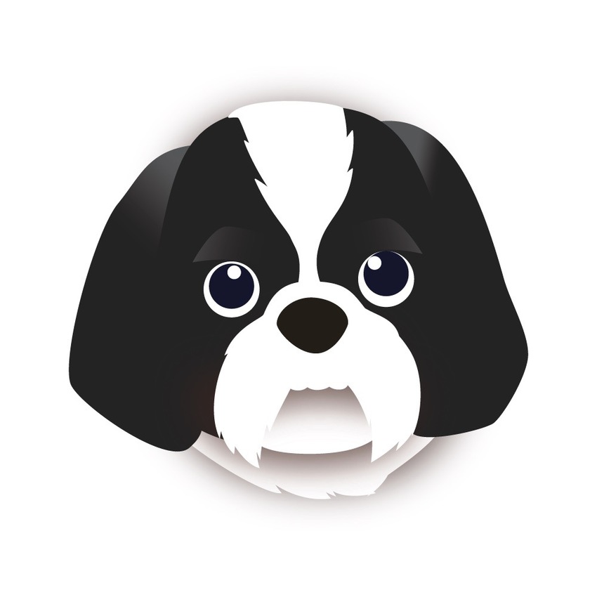 Animated Portrait of Your Pet