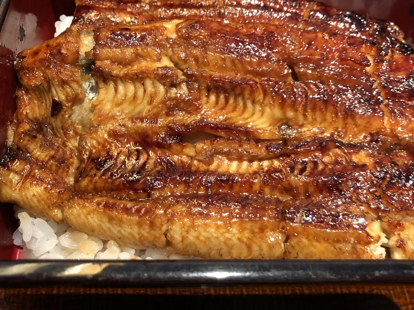 EEL ... Unajyu