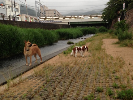 今朝のチルとミチル