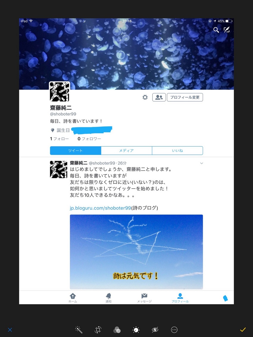 ツイッターを始めました！