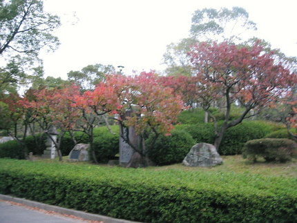 『ふるさとの森・大分県』　大倉...