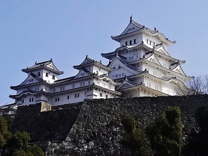 春の姫路城を見学！