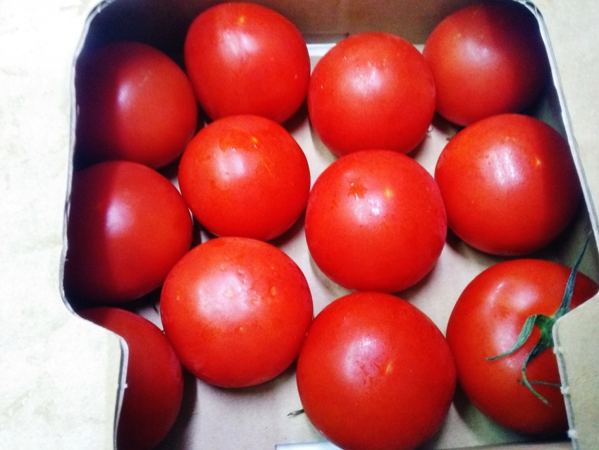 神戸産の完熟トマトを！